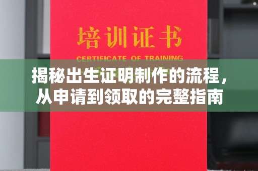 蒸湘揭秘出生证明制作的流程，从申请到领取的完整指南