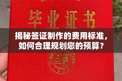 全州揭秘签证制作的费用标准，如何合理规划您的预算？